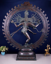 Handcrafted Brass Nataraja Statue - Height 36" Chola Black tone
