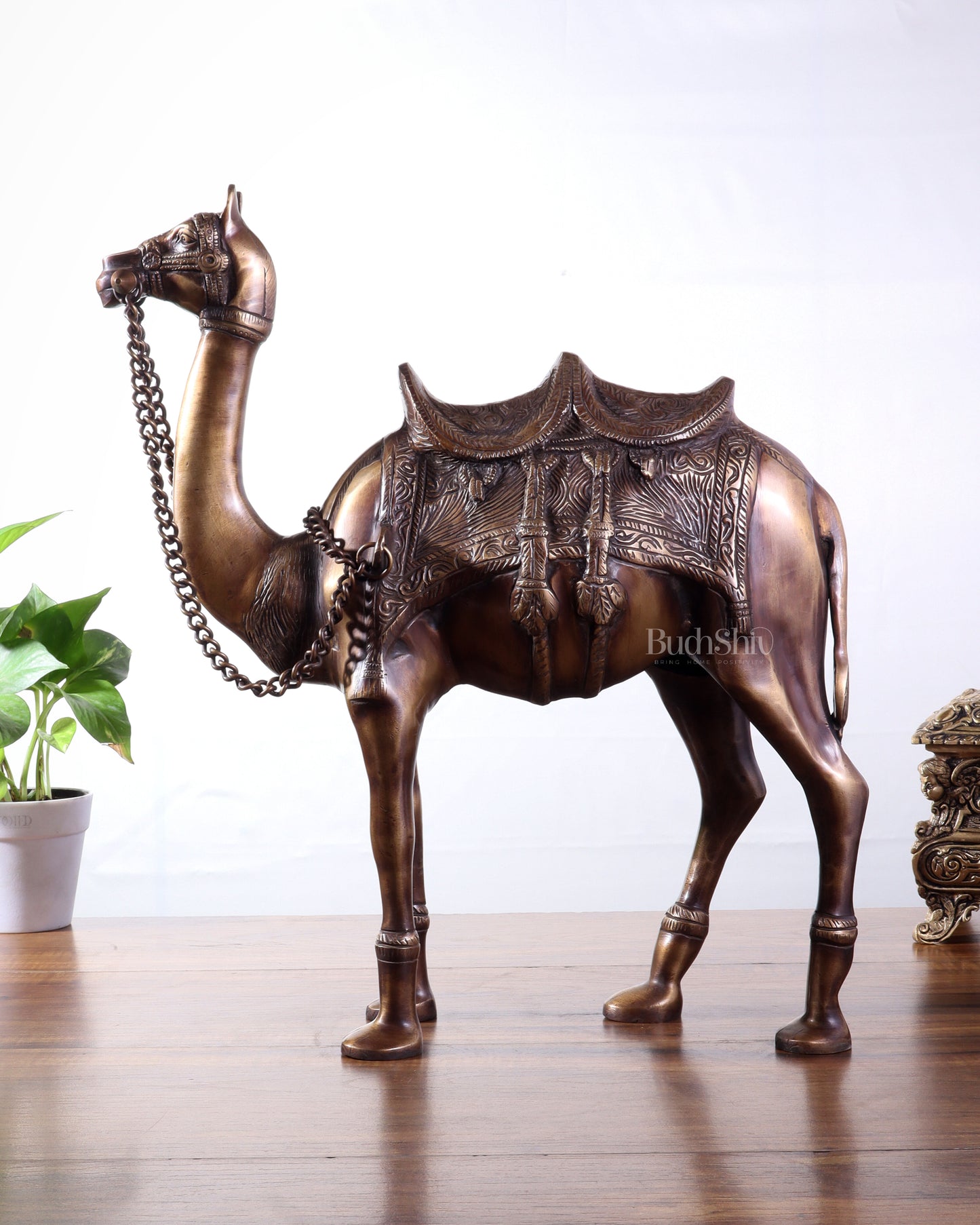Pure Brass Camel Statue | Vastu Showpiece for Home & Office | 17"