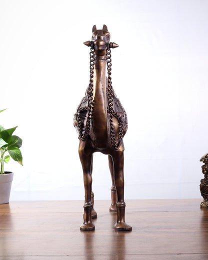 Pure Brass Camel Statue | Vastu Showpiece for Home & Office | 17"