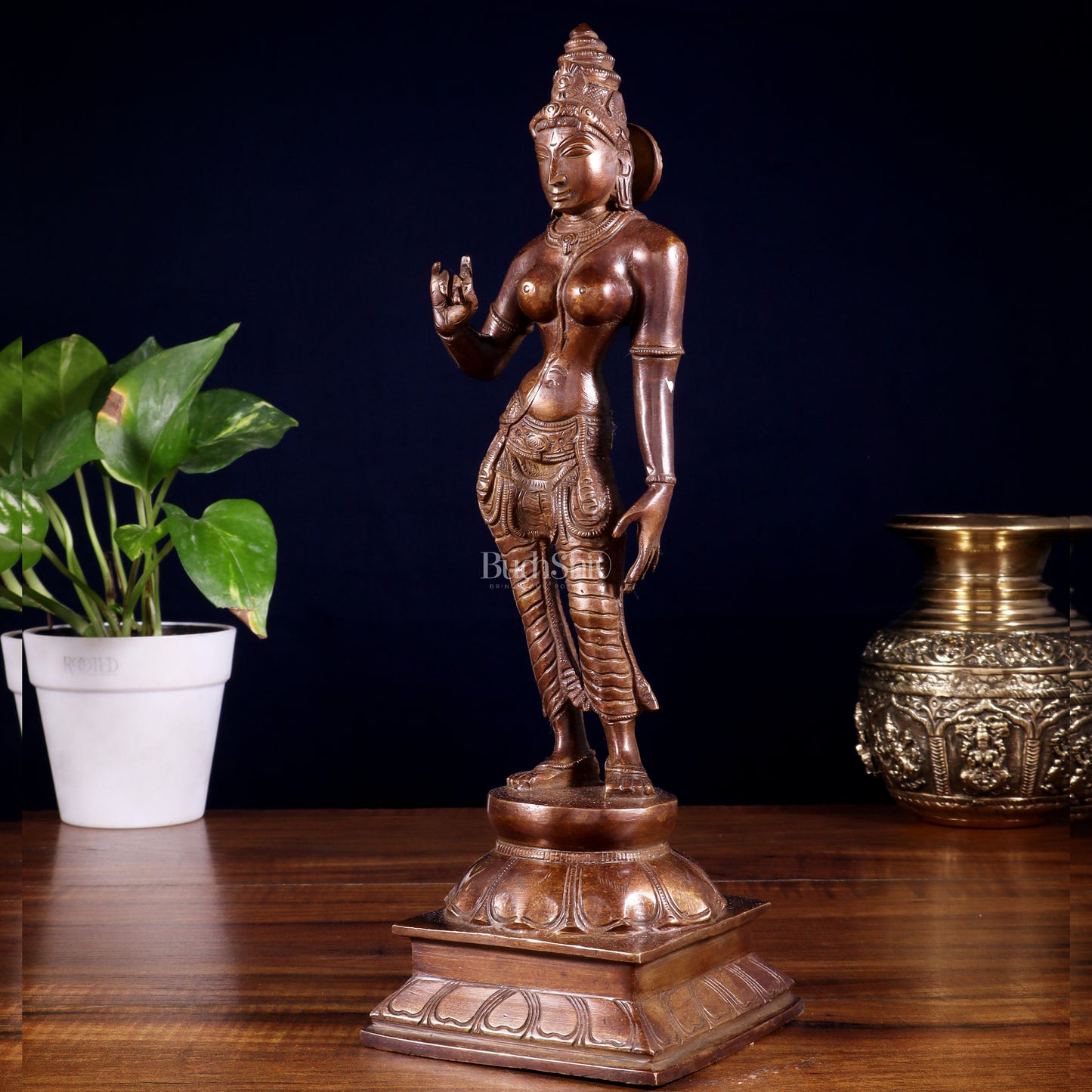 Brass Bhoga shakti Devi Uma Parvati Idol | 10 Inch Dark brown