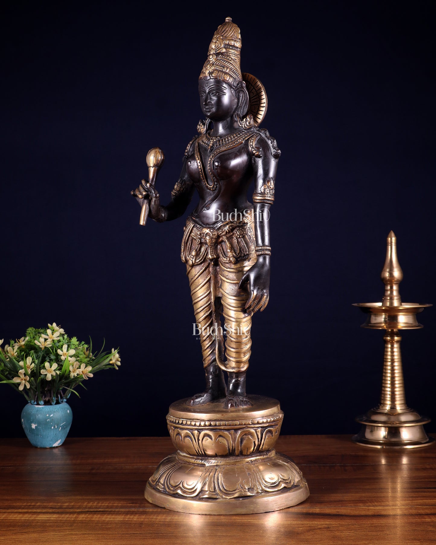 Beautiful Bhoga Shakti Pure Brass Uma Parvati Standing Statue – Black Edition 20 inch