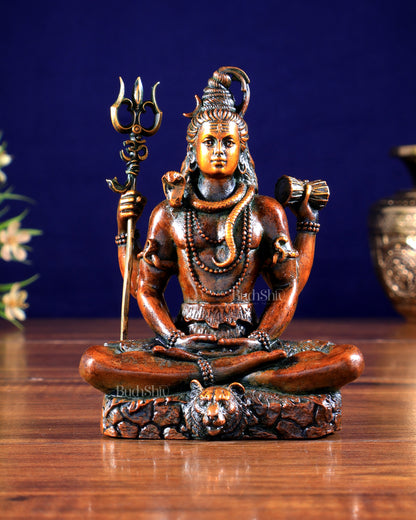 Pure Brass Lord Shiva Idol chola brown tone