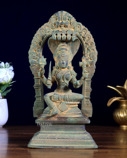 Brass Mariamman Karumariamma Idol | Height: 9.5 inch antique sand finish