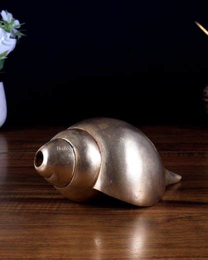 Pure Brass Blowing Shankh / Conch 8"