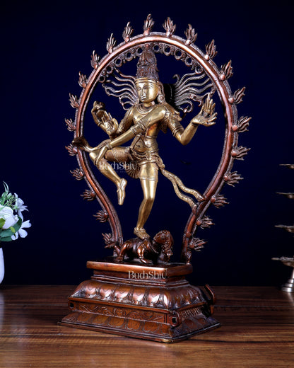 Pure Brass Shiva as Nataraja Statue - 16" dual tone