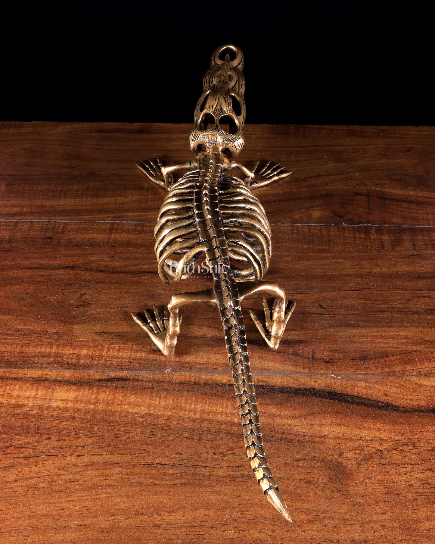 Brass Dinosaur Skeleton Statue | Unique Handcrafted Sculpture 23 inch