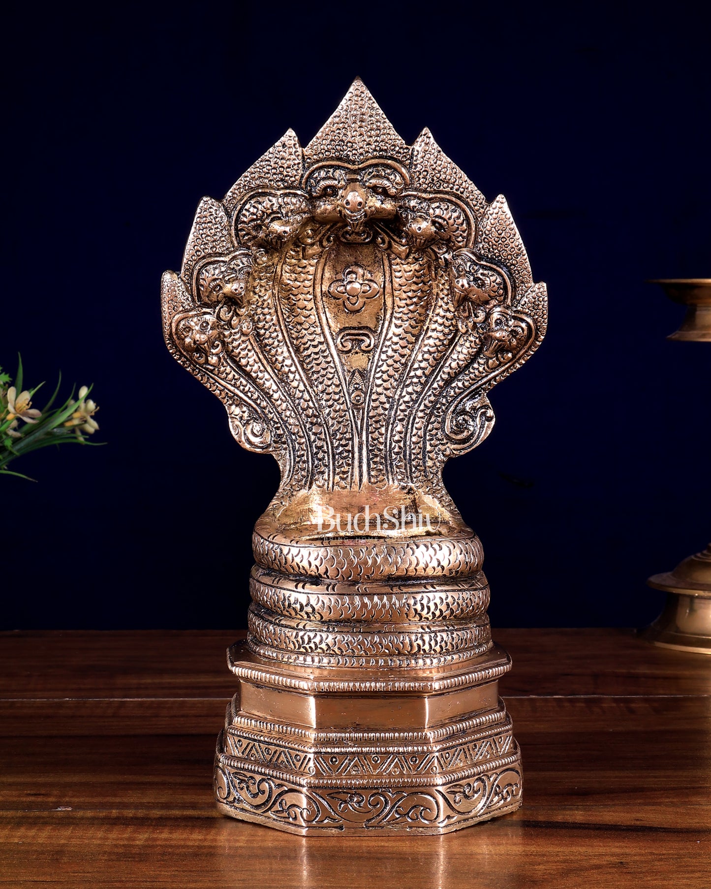 Vintage Brass Sheshanaag Idol 10 inch