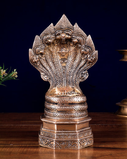 Vintage Brass Sheshanaag Idol 10 inch