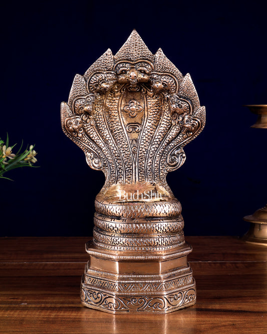 Vintage Brass Sheshanaag Idol 10 inch