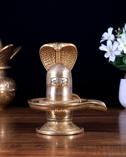 Brass Superfine Shiv Ling 6 inch