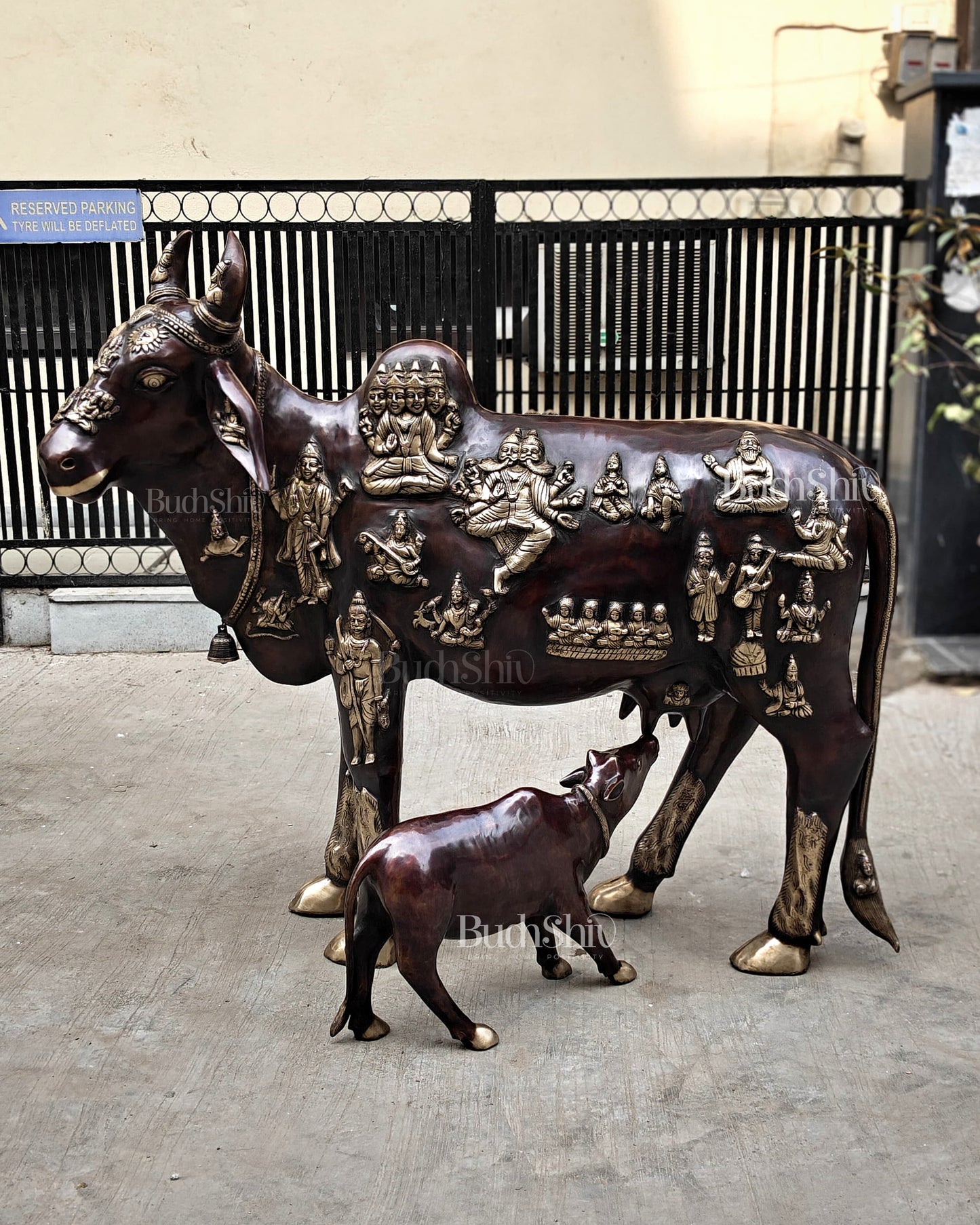 Brass Large Kamadhenu Cow with Calf – 53"