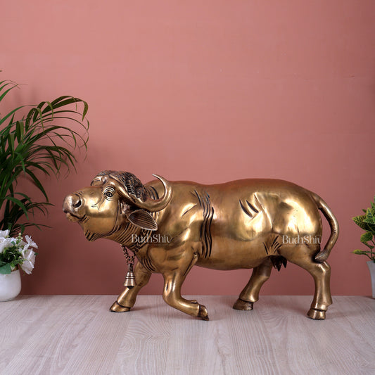 Pure Brass cow Getting Up Statue | Rare Vastu Strength & Prosperity Symbol (23 Inch)
