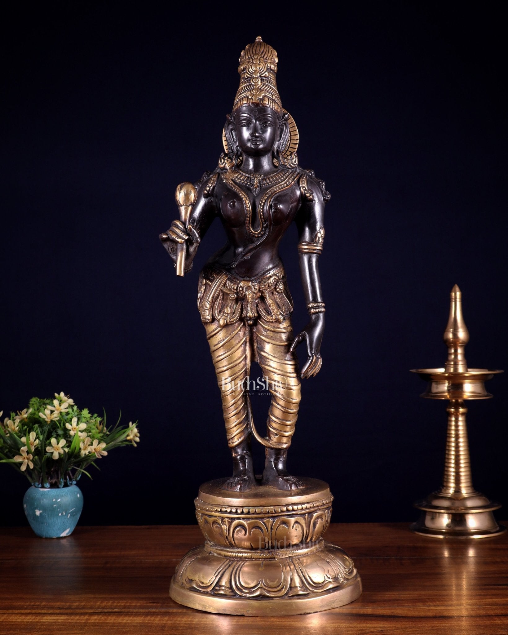 Beautiful Bhoga Shakti Pure Brass Uma Parvati Standing Statue – Black Edition 20 inch - Budhshiv.com