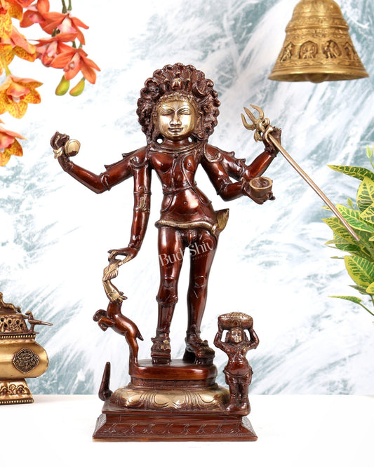 Brass Bhikshatana Kaal Bhairava Shiva Idol - 15 inch dual tone - Budhshiv.com