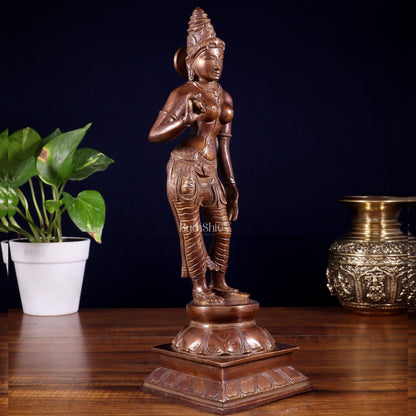 Brass Bhoga shakti Devi Uma Parvati Idol | 10 Inch Dark brown - Budhshiv.com