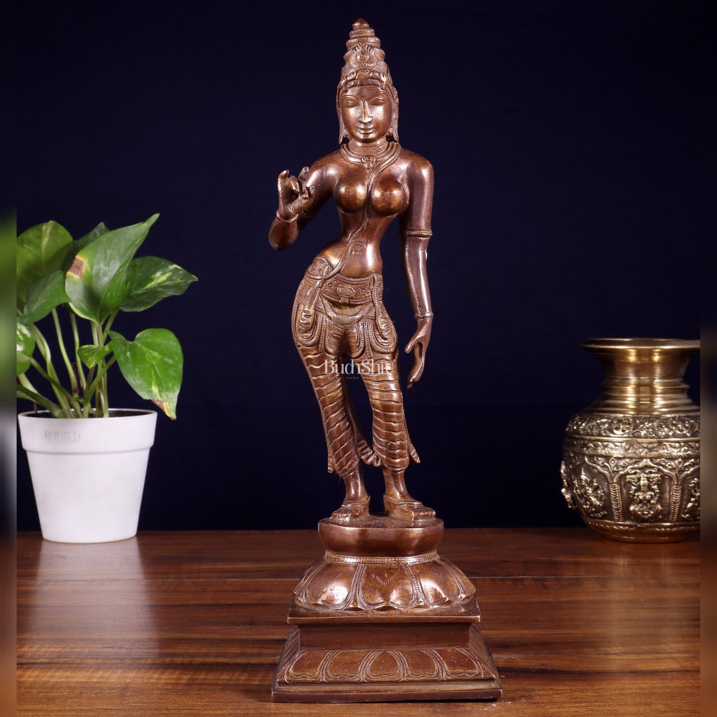 Brass Bhoga shakti Devi Uma Parvati Idol | 10 Inch Dark brown - Budhshiv.com