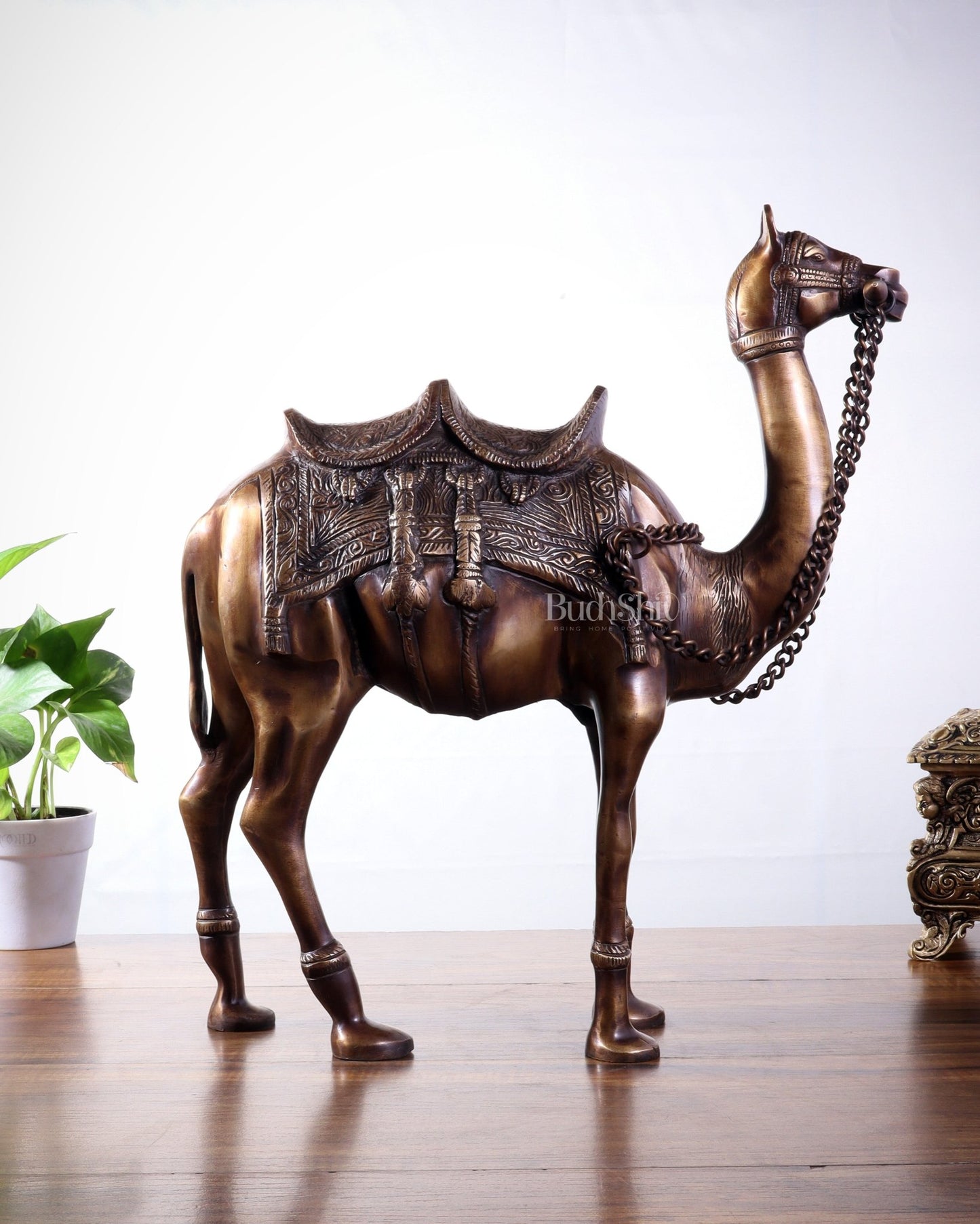Brass Camel Statue Pair – Standing and Seated (Vastu Approved) 17" - Budhshiv.com