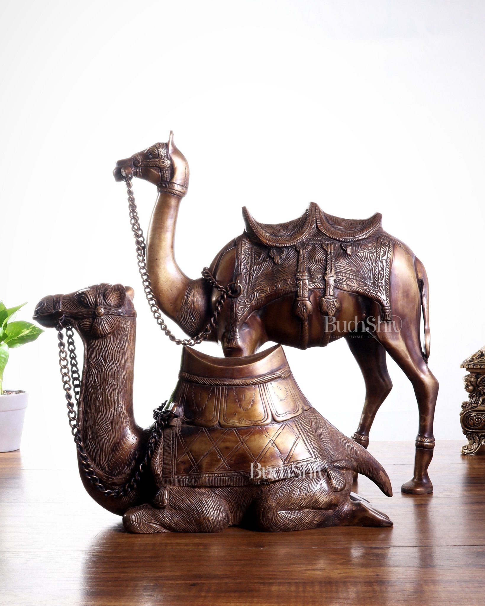 Brass Camel Statue Pair – Standing and Seated (Vastu Approved) 17" - Budhshiv.com