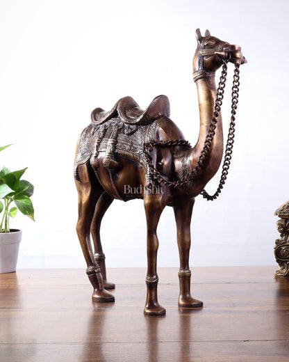 Brass Camel Statue Pair – Standing and Seated (Vastu Approved) 17" - Budhshiv.com