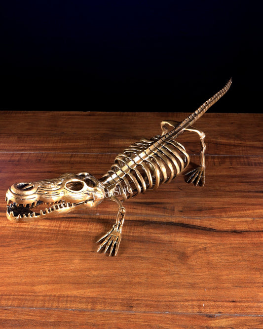Brass Dinosaur Skeleton Statue | Unique Handcrafted Sculpture 23 inch - Budhshiv.com