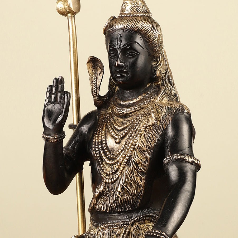 Brass Handcrafted Lord Shiva idol black tone | 9.5" - Budhshiv.com