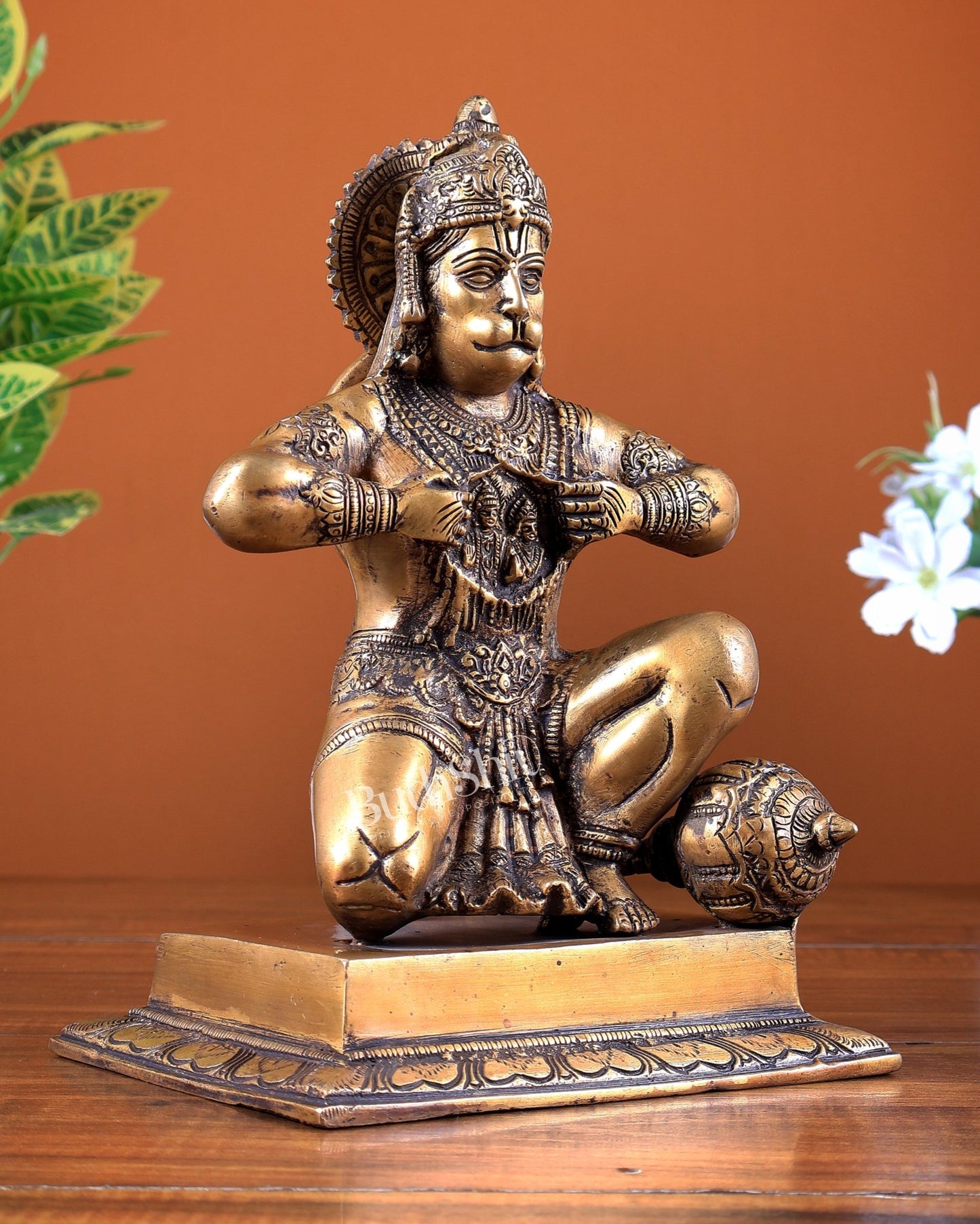 Brass Hanuman Ji with Sita Ram on Chest 8.8 inch - Budhshiv.com
