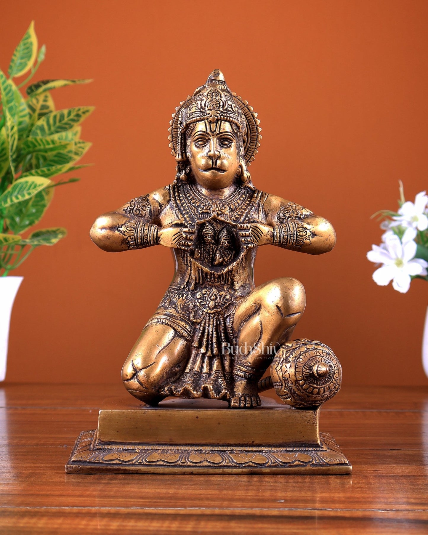 Brass Hanuman Ji with Sita Ram on Chest 8.8 inch - Budhshiv.com