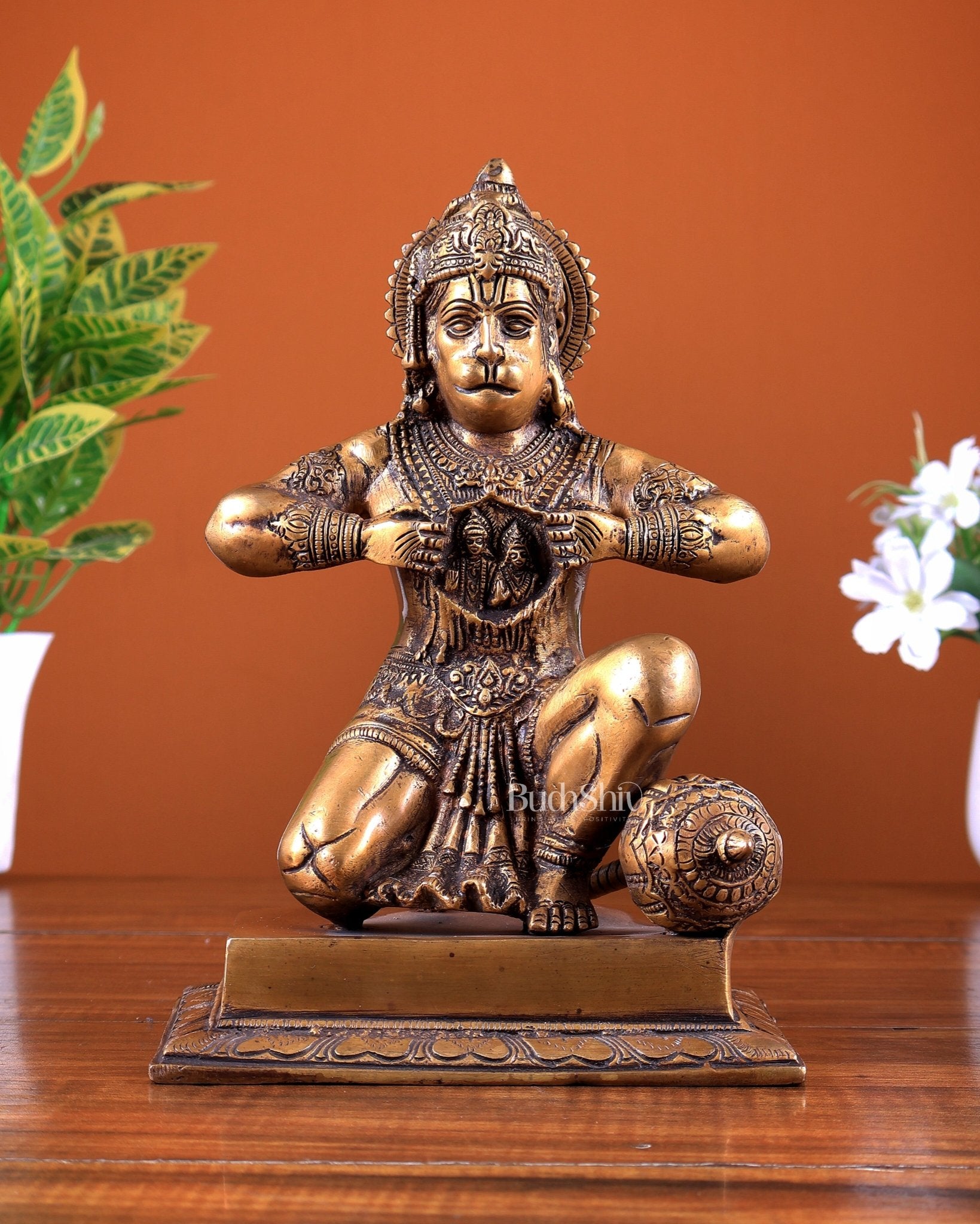 Brass Hanuman Ji with Sita Ram on Chest 8.8 inch - Budhshiv.com