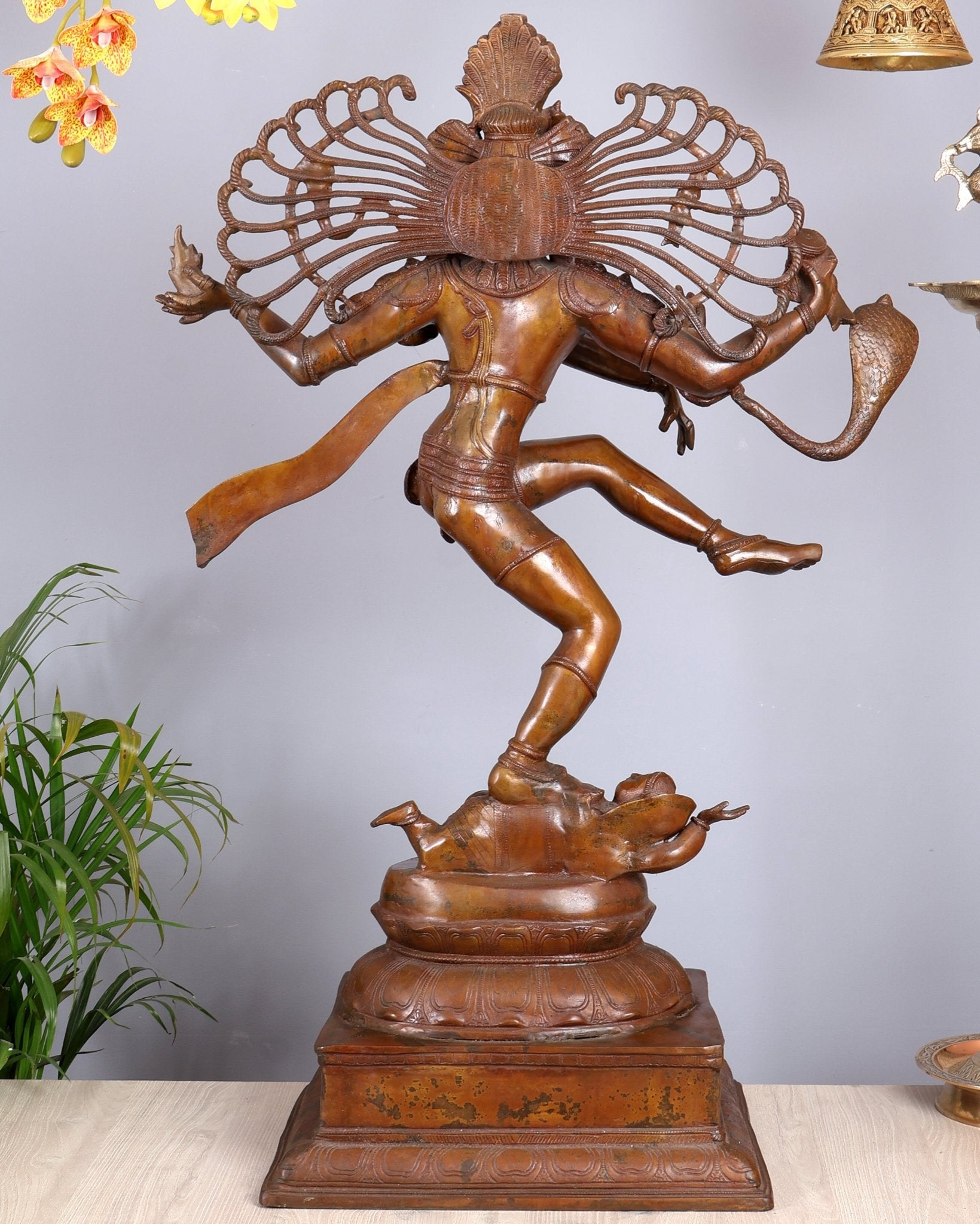 Brass Large Dancing Shiva as Nataraja (Without Ring) – Chola Bronze Replica, Copper Coated 40" - Budhshiv.com