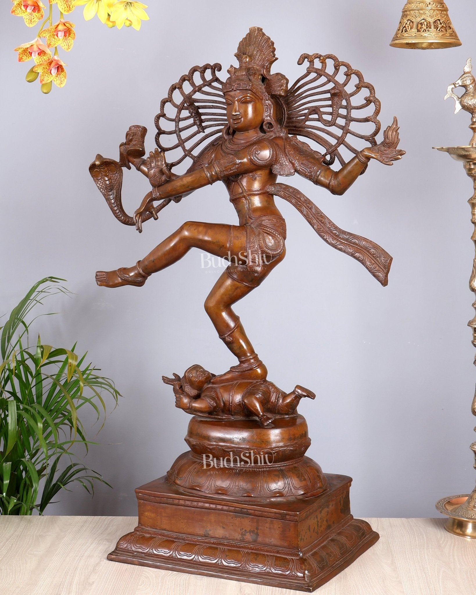 Brass Large Dancing Shiva as Nataraja (Without Ring) – Chola Bronze Replica, Copper Coated 40" - Budhshiv.com