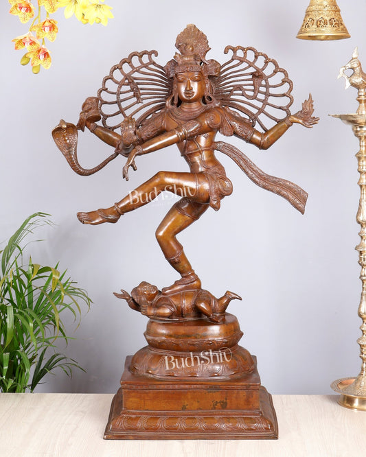 Brass Large Dancing Shiva as Nataraja (Without Ring) – Chola Bronze Replica, Copper Coated 40" - Budhshiv.com