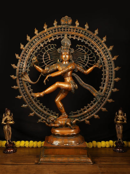 Brass Large Lord Shiva as Nataraja - 46.5 Inch, Antique Bronze Finish - Budhshiv.com