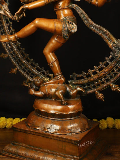 Brass Large Lord Shiva as Nataraja - 46.5 Inch, Antique Bronze Finish - Budhshiv.com