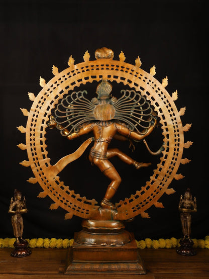 Brass Large Lord Shiva as Nataraja - 46.5 Inch, Antique Bronze Finish - Budhshiv.com