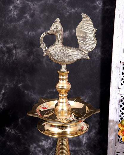 Brass Large Peacock Samai Inauguration Lamp (Pair) 54 inch - Budhshiv.com