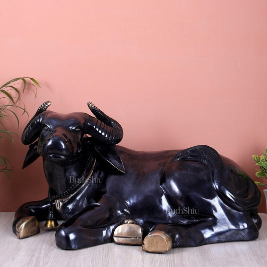 Brass Large Resting Buffalo / Ox Sculpture | Rare Handcrafted Vastu Decor Showpiece 33 inch - Budhshiv.com