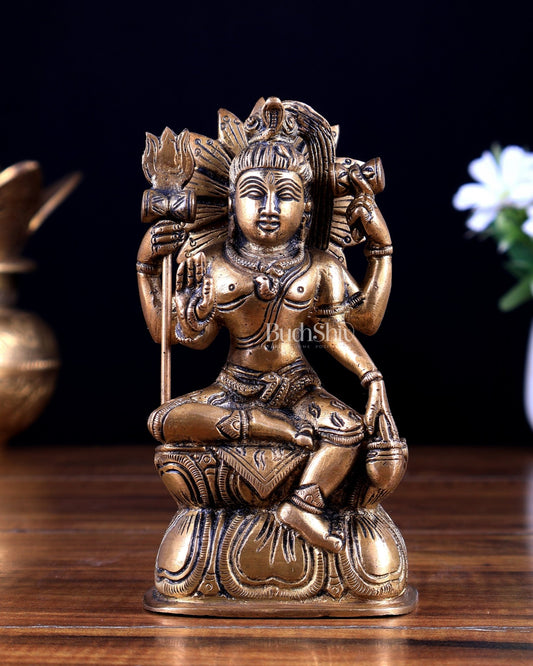 Brass Lord Shiva Statue Seated on Pedestal 5.5 inch - Budhshiv.com
