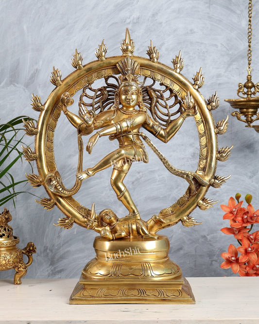 Brass Nataraja Dancing Shiva Superfine sculpture 24" - Budhshiv.com