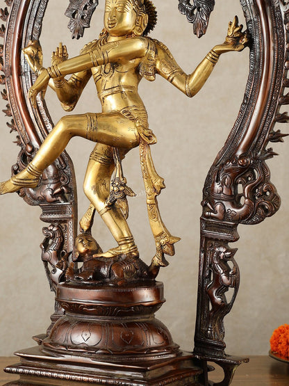Brass Nataraja Statue - 26" Height dual tone - Budhshiv.com