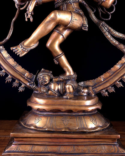 Brass Nataraja Statue – Majestic Large Sculpture in Classical style 38 inch - Budhshiv.com