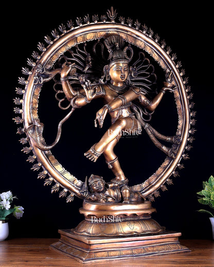 Brass Nataraja Statue – Majestic Large Sculpture in Classical style 38 inch - Budhshiv.com