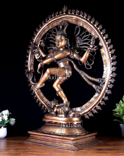 Brass Nataraja Statue – Majestic Large Sculpture in Classical style 38 inch - Budhshiv.com