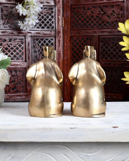 Brass Pair of Baby Elephants with Raised Trunks | Auspicious Elephant Showpiece for Home Décor - Budhshiv.com