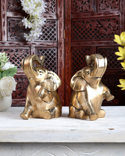 Brass Pair of Baby Elephants with Raised Trunks | Auspicious Elephant Showpiece for Home Décor - Budhshiv.com