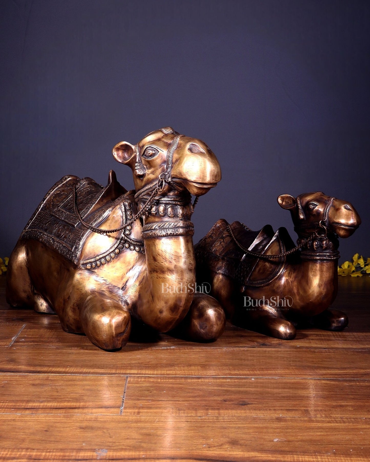 Brass Pair of large Sitting Camel Statues 36" Vastu approved - Budhshiv.com