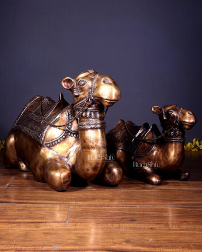 Brass Pair of large Sitting Camel Statues 36" Vastu approved - Budhshiv.com