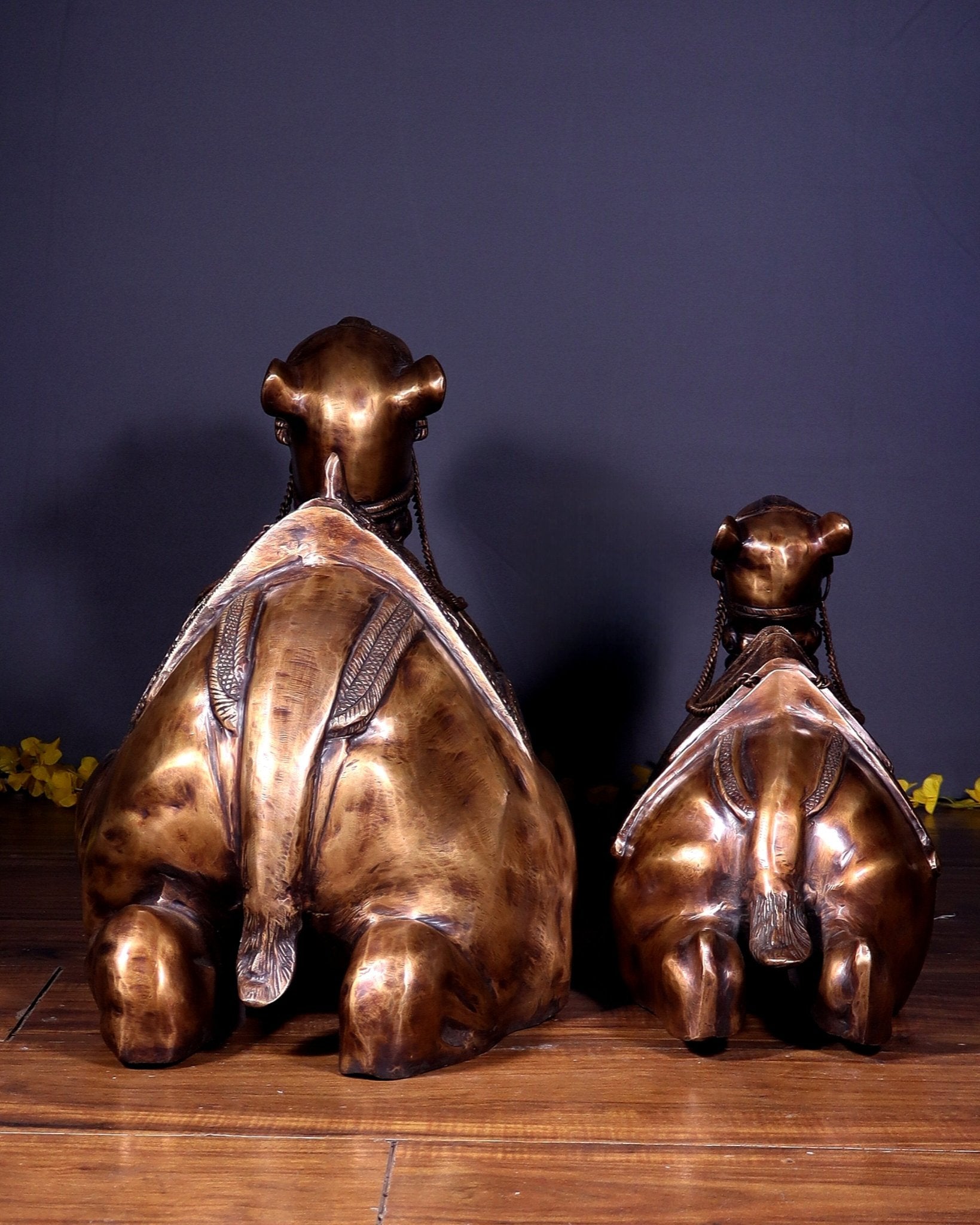 Brass Pair of large Sitting Camel Statues 36" Vastu approved - Budhshiv.com