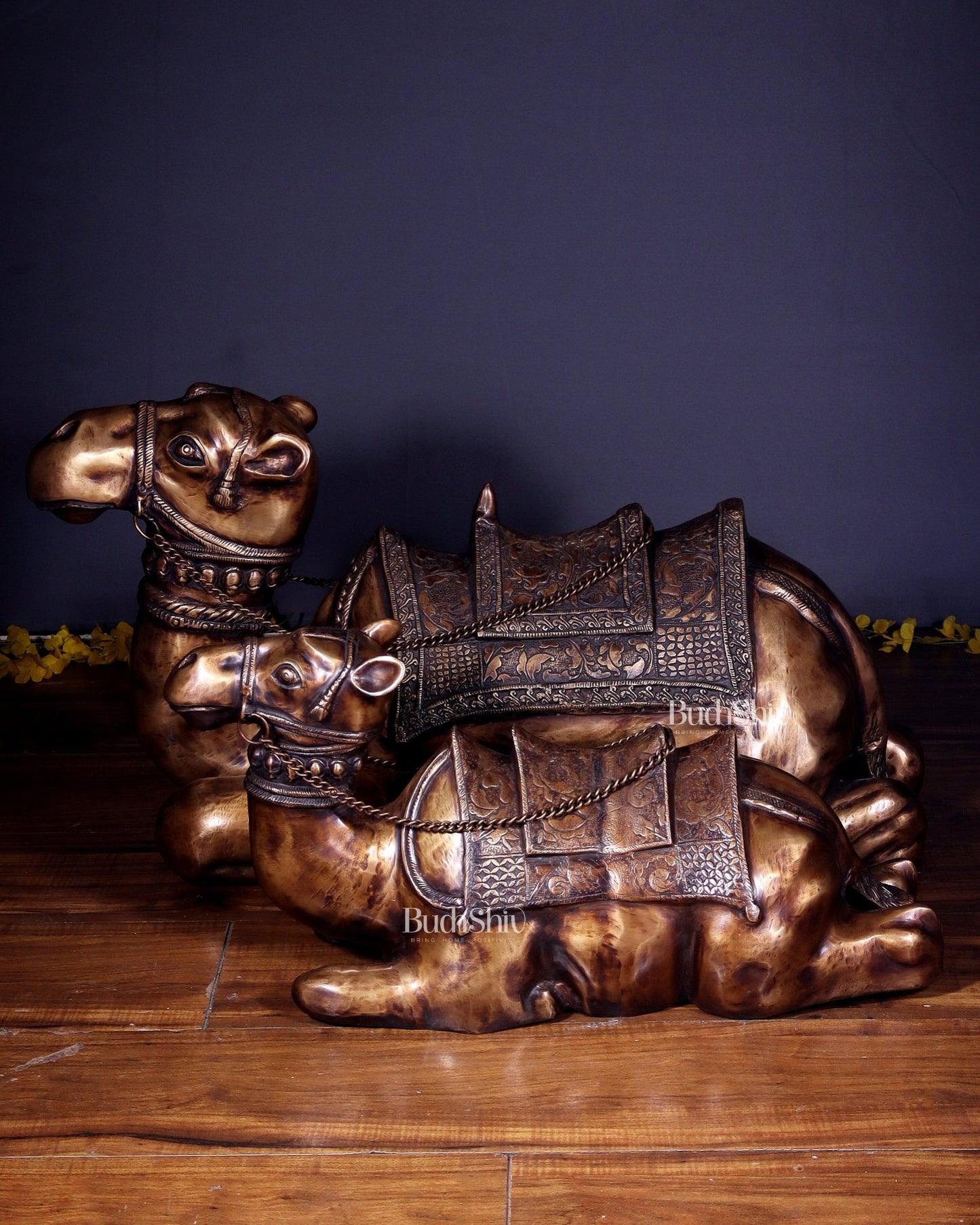 Brass Pair of large Sitting Camel Statues 36" Vastu approved - Budhshiv.com