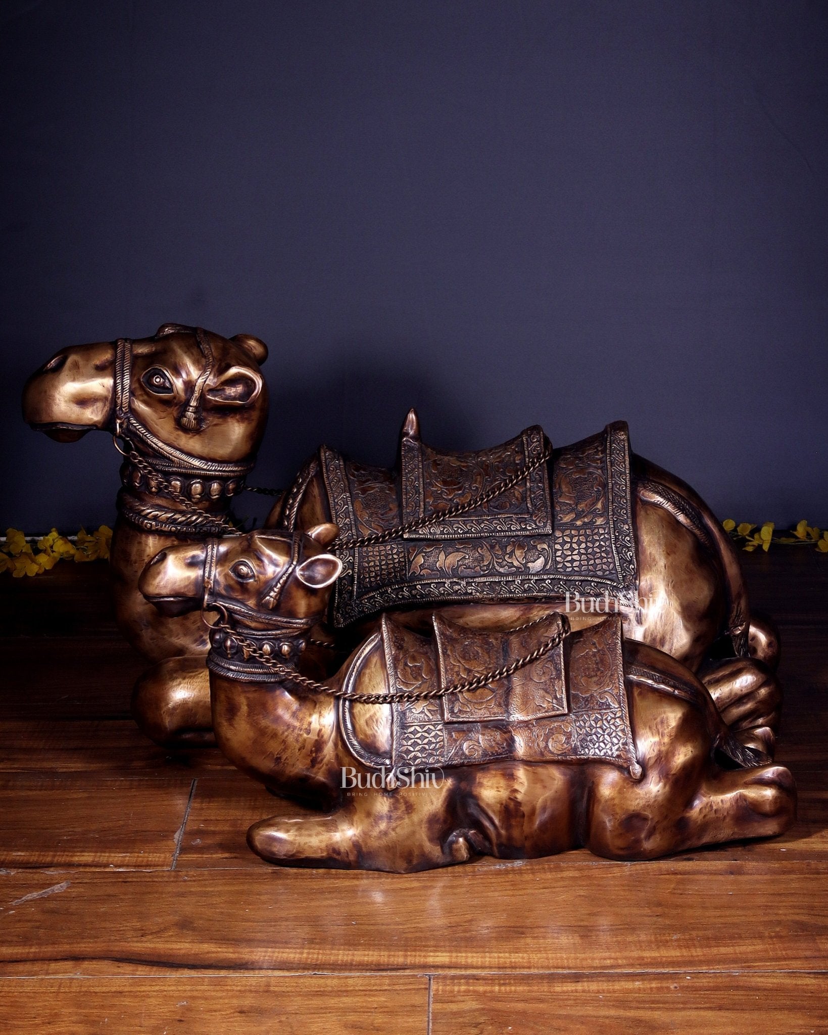 Brass Pair of large Sitting Camel Statues 36" Vastu approved - Budhshiv.com