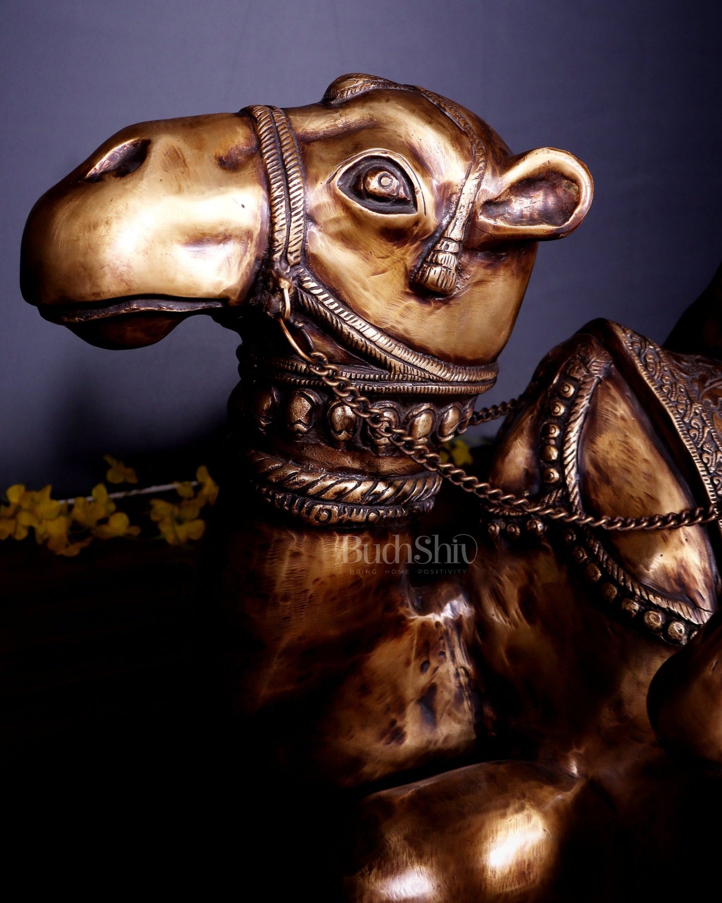 Brass Pair of large Sitting Camel Statues 36" Vastu approved - Budhshiv.com
